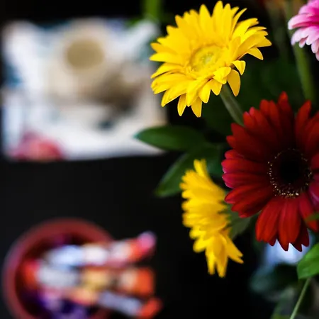 East Station Private 게스트하우스